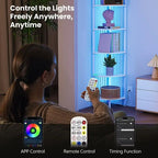 Estante esquinero de 6 niveles (con luces LED) - 11.7D x 11.7W x 63H pulgadas